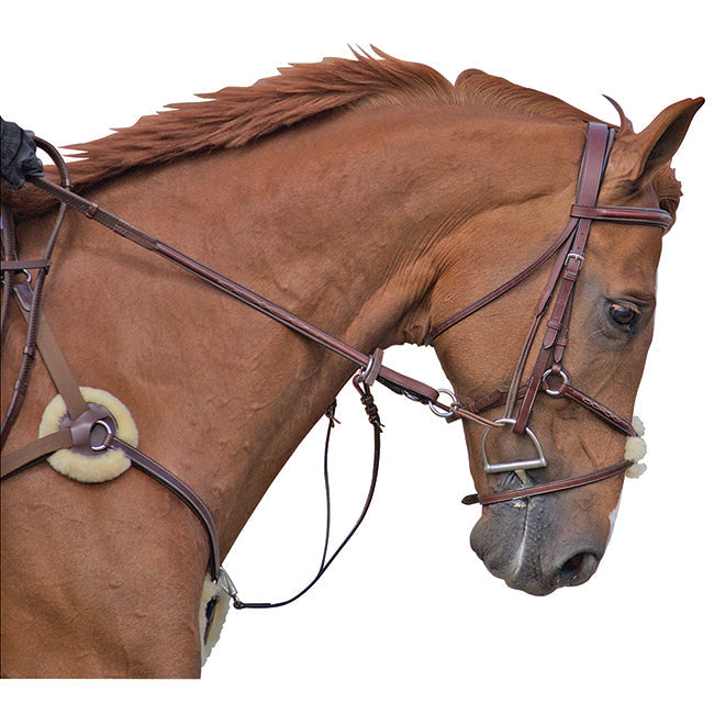 M. Toulouse 5 Point Breastplate With Running Martingale Attachment